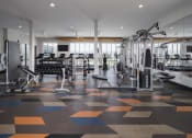 Thumbnail 25 of 41 - Free Weights in the Gym at Parc View Apartments and Townhomes Midvale, UT 84047