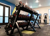 Thumbnail 12 of 23 - Row of Weights at Ridge View Apartments (MA)
