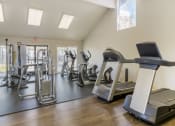 Thumbnail 21 of 28 - Gym Equipped with Cardio Center at Edgewater Isle