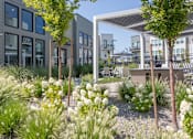 Thumbnail 37 of 39 - Landscaping at The Austin Townhomes