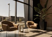 Thumbnail 54 of 85 - Two chairs and a plant are in front of a window.