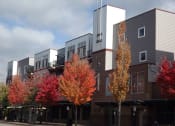 Thumbnail 2 of 40 - Beautiful Trees outside Metropolitan Place Apartments, Renton, 98057