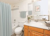 Thumbnail 6 of 18 - Luxurious Bathroom with Tub and Shower at River Point Apartments, Arizona