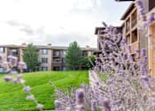 Thumbnail 20 of 44 - Green Lawns at Echo Ridge Apartments, Castle Rock, CO, 80108