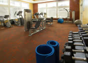 Thumbnail 25 of 38 - Free Weights In Gym at Talavera at the Junction Apartments & Townhomes, Utah