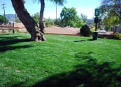 Thumbnail 10 of 15 - Peppertree Senior Apartments  Open Green Space - Spring Valley, CA 91977