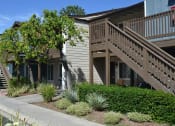 Thumbnail 9 of 17 - Sidewalk and Tree at Village Grove Apartments, California, 92025