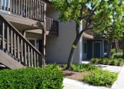 Thumbnail 14 of 17 - Garden Walkway at Village Grove Apartments, Escondido, CA, 92025