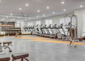 Thumbnail 38 of 45 - A gym with a variety of equipment including treadmills, weights, and benches.