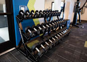 Thumbnail 17 of 34 - A row of black dumbbells are on a rack in a gym.