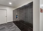 Thumbnail 32 of 34 - Package Handling at Maye House Apartments