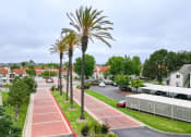 Thumbnail 28 of 42 - Palm Trees Lining the Entrance of Canyon Club Apartments