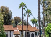 Thumbnail 23 of 28 - Palm Trees at Eucalyptus Grove Apartments California