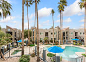 Thumbnail 15 of 22 - Palm Trees by Pool at Rio Seco Apartments