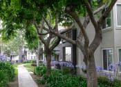 Thumbnail 29 of 42 - Green Pathways at Canyon Club Apartments