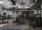 Thumbnail 41 of 61 - Parc at Day Dairy Weight Machines