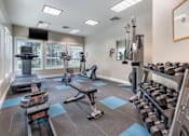 Thumbnail 9 of 10 - Free Weights in Gym at Pinehurst Apartments Midvale, UT 84047