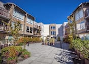 Thumbnail 19 of 25 - Courtyard View at Revo 225 Apartments, Washington