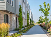 Thumbnail 27 of 39 - Sidewalk in front of homes at The Austin Townhomes