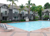 Thumbnail 16 of 42 - View of Pool at Canyon Club Apartments