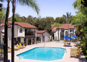 Thumbnail 20 of 28 - Sparkling Pool at Eucalyptus Grove Apartments California