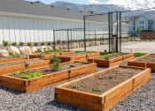 Thumbnail 28 of 39 - Community Garden at Rivulet Apartments, American Fork, UT, 84003