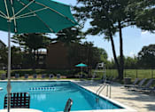 Thumbnail 9 of 14 - A pool with chairs and umbrellas is surrounded by trees.