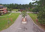 Thumbnail 15 of 18 - A tree stands in a planter on a street. Aviary Village Apartments, in Conway, SC 29526