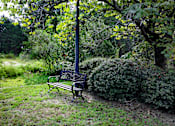 Thumbnail 17 of 18 - A bench sits in a grassy area under a tree. Aviary Village Apartments, in Conway, SC 29526