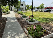 Thumbnail 6 of 44 - a sidewalk in front of a garden with plants