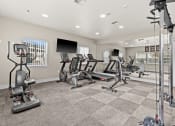 Thumbnail 4 of 12 - the gym is equipped with cardio equipment and state of the art cardio machines and weights