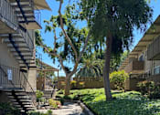 Thumbnail 13 of 16 - a sidewalk with trees and grass in an apartment complex