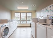 Thumbnail 9 of 17 - A laundromat with rows of washing machines and a window in the background.