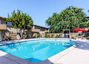 Thumbnail 1 of 16 - the swimming pool at our apartments