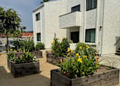 Thumbnail 31 of 44 - a group of wooden planters with flowers in front of a building