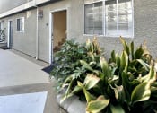 Thumbnail 11 of 29 - the front of a building with plants in front of it