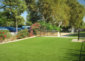 Thumbnail 26 of 40 - Terrace Apartments, Dog Park