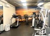Thumbnail 25 of 29 - a gym with cardio machines and a wall mural of the beach