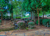 Thumbnail 19 of 27 - Lullwater at Bass | Beautiful Grounds