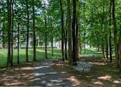 Thumbnail 20 of 27 - Lullwater at Bass | Walking Trails