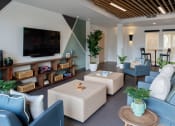 Thumbnail 6 of 17 - a living room with blue and white furniture and a television