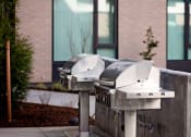 Thumbnail 4 of 17 - BBQ