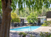 Thumbnail 8 of 15 - Swimming Pool With Relaxing Sundecks at Terra Linda Manor, San Rafael, CA