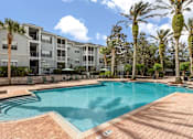 Thumbnail 6 of 15 - A swimming pool surrounded by palm trees and apartment buildings.