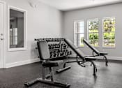 Thumbnail 11 of 15 - A home gym with a row of dumbbells and a bench.