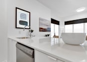 Thumbnail 50 of 78 - A modern kitchen with a white countertop and a dishwasher.