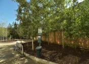 Thumbnail 22 of 48 - Mission 17 residential rental apartments  ground level dog run