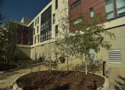 Thumbnail 21 of 48 - Mission 17 residential rental apartments BBQ Patio and pet area