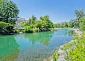 Thumbnail 37 of 37 - A serene lake surrounded by lush greenery and buildings in the distance.