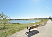 Thumbnail 6 of 42 - A park bench is situated on a path next to a lake.